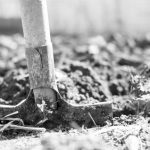 Gyvenimo posūkiai: nuo techniko-mechaniko iki mokytojo ir muziejininko