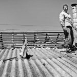 Pasvalio krašto naktinėms gražuolėms – plieniniai žiedai