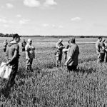 „Pieno žvaigždėms“ pritrūko stabilumo