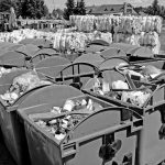 „Pavargusį“ tiltą mėginama gelbėti ribojant transporto svorį