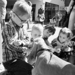 Priminė Sveikatos draudimo aktualijas