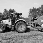 Lietuvės ir olando sodybose susipina ir senolių buitis, ir tikras gamtos grožis