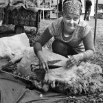 Tarp nominantų – ir bendruomenės