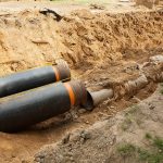 Suraskim šio keturkojo šeimininką