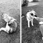 Bendruomeniniuose namuose – paslaugos visai šeimai