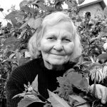 Ekstremalioji situacija paskelbta ir mūsų rajone