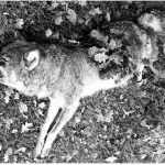 Apie naujoves kalbėjusiai ministrei priminta ir reali mokyklų padėtis