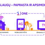 Pirmąją vilkų medžioklės sezono dieną – taiklus šūvis