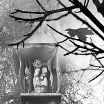 Šiluma brangs, bet ne Pasvalyje