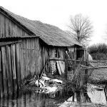 Ieškos budinčių globotojų