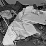 Ūkininkai – iš prigimties laisvi žmonės