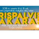 Adrenalino fanatikė iš Pasvalio: laisvė yra laimė