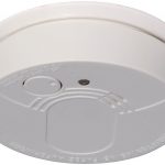 Šimto kilometrų žygis „Nešu vėliavą per praeitį į ateitį“