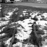 Šventė, kurios pagrindinis „specialusis efektas“ – nesumeluotas nuoširdumas