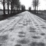 Baltijos krepšinio lygos taurė – ranka pasiekiama