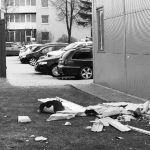 Kultūros darbštuolėms – darbštumo simboliai