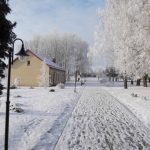 Po kruopelę – ir kaimo, ir giminės istoriją