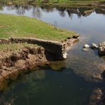 „Marabu band“ bandys įrodyti, kad jau užaugo