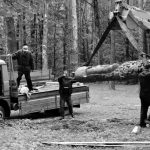 Gyvena ir ūkininkauja sename sodžiuje, senelių žemėje