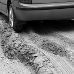 Čempionų taurė iškeliavo į Daujėnus