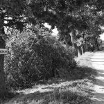 Antanas Matulas: „Privalom sustabdyti ministro savivalę“