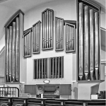 Kaip bokso treneris atskleidžia subtiliausią augalų grožį…