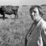 Ir vėl paskubėjo…