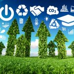 Suomijoje gyvenanti daujėnietė: „Mano pašaukimas – pritaikyti iš mokslo ir gamtos gautas pamokas“