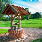 Suomijoje gyvenanti daujėnietė: „Mano pašaukimas – pritaikyti iš mokslo ir gamtos gautas pamokas“