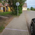 Šalia grožio salos – žiurkynas