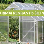 Lyg būtų maža rūpesčių: su gamtos stichija susidūręs raseiniškis gyventojams turi patarimą