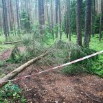 Kviečia Kastytis Kerbedis