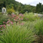 Kas laimės 2020 m. Seimo rinkimuose? (apklausa)