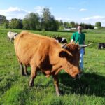 Pas pacientus į namus važiuos mobili komanda