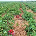 Kai šokis tampa gyvenimu