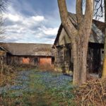 Paslauga, kuria mielai naudojasi ir trumpam sugrįžę emigrantai