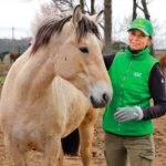 Greitosios medicinos pagalbos reforma iškels naujų iššūkių?