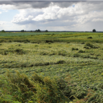 Pumpėniečiai džiaugiasi pirmuoju miestelio bankomatu