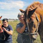 Kraujo ištroškę vilkai neaplenkė Vaškų miestelio