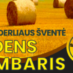 Kaip išlaikyti psichinę ir emocinę gerovę?