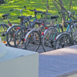 Nairiuose – rajone gražiausiai tvarkoma daugiabučio namo aplinka