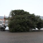 Pasvalio baseino renovaciją tikisi baigti laiku