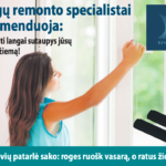 Šaltalankiai – sveika rūgštelė ir energija visai žiemai