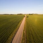 Centre jau kvepia žaliaskarė