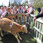 Kaip įmanoma priprasti prie žaizdų?