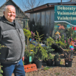 Kardiologei patinka jausti širdies virpuliukus