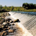 Koks bus siauruko likimas?