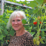 Paskutinis skambutis aidėjo ne vieną dieną