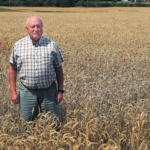 Archeologai mėgina atskleisti Austakynės partizanų paslaptį