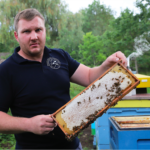 Archeologai mėgina atskleisti Austakynės partizanų paslaptį